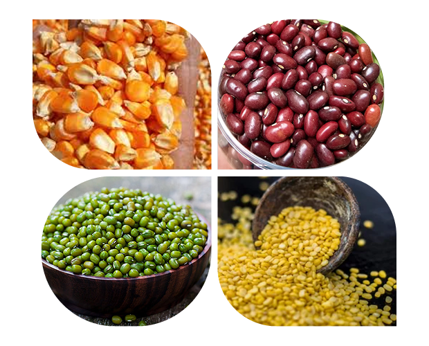 Jai%20Bhawani%20Pulses